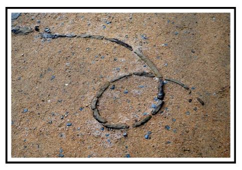 Garden Art Photography