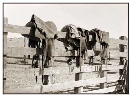 Saddles